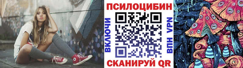 закладка Нижняя Салда Галлюциногенные грибы MAGIC MUSHROOMS